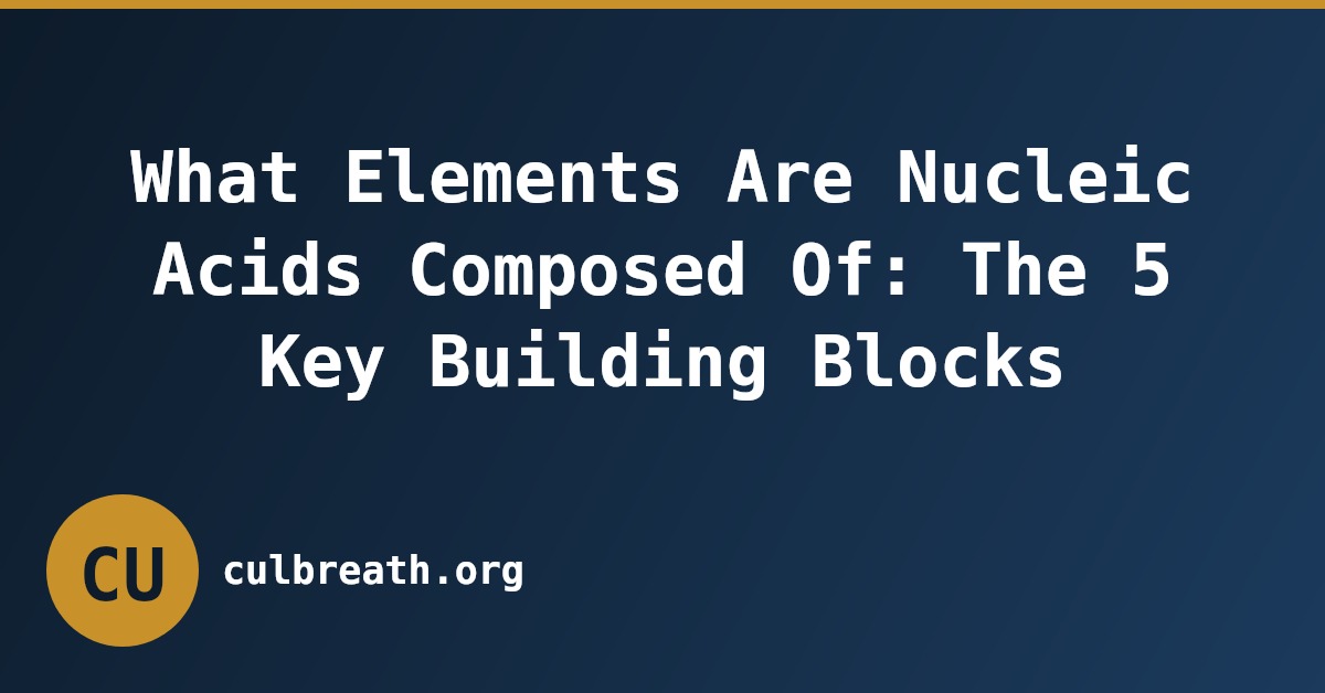 What Elements Are Nucleic Acids Composed Of: The 5 Key Building Blocks