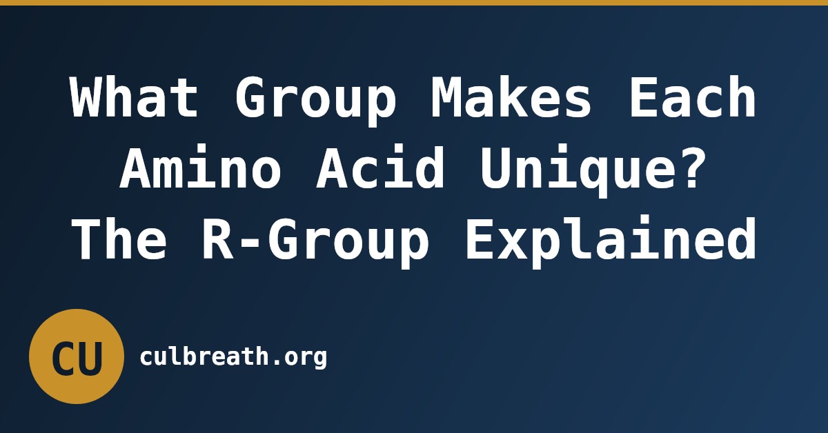 What Group Makes Each Amino Acid Unique? The R-Group Explained