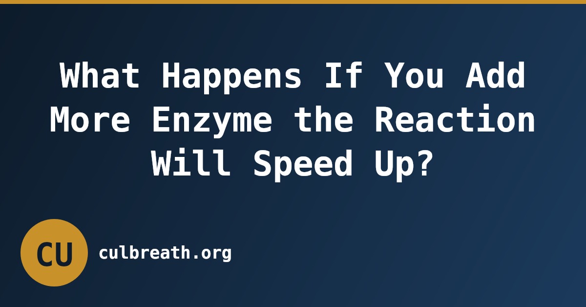 What Happens If You Add More Enzyme the Reaction Will Speed Up?