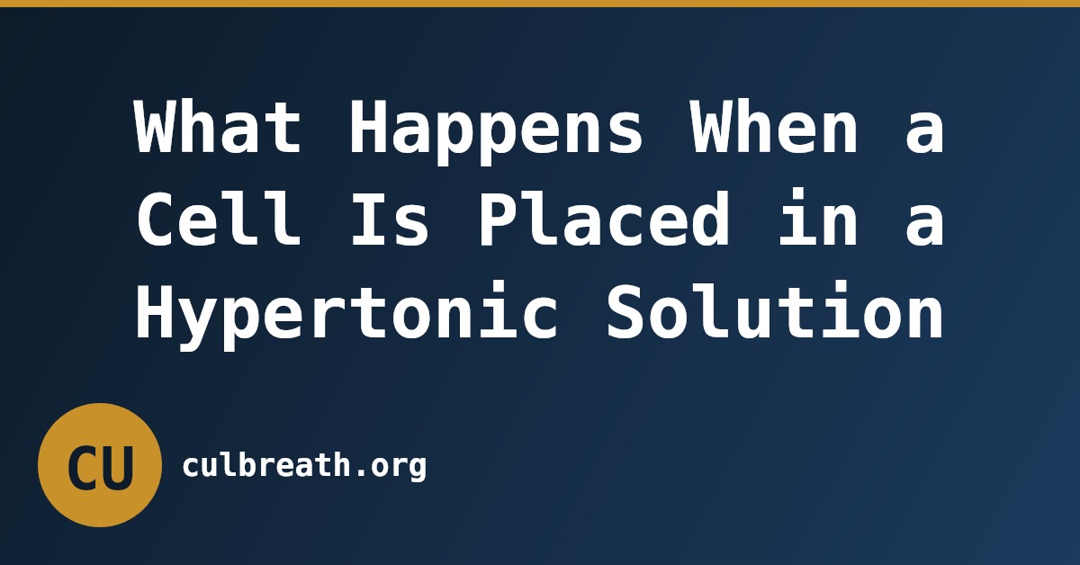 What Happens When a Cell Is Placed in a Hypertonic Solution