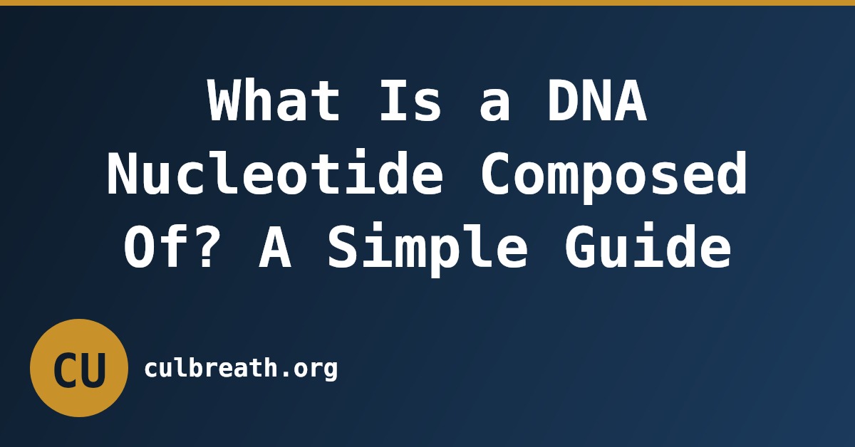 What Is a DNA Nucleotide Composed Of? A Simple Guide