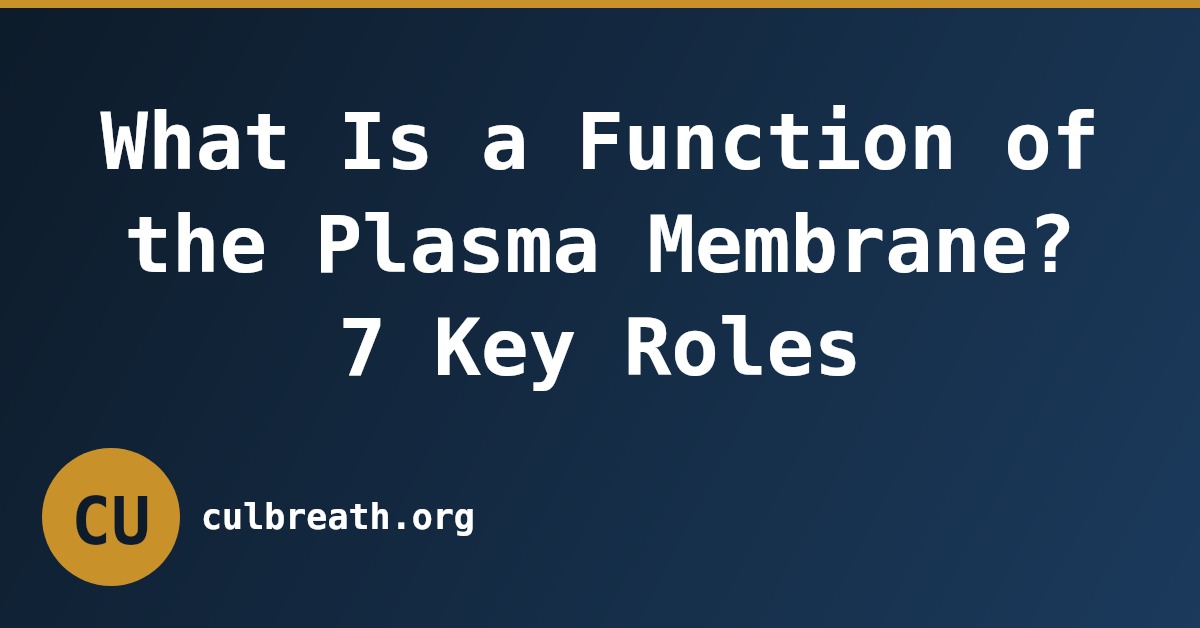 What Is a Function of the Plasma Membrane? 7 Key Roles