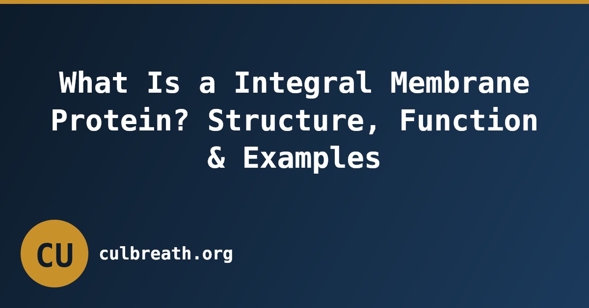 What Is a Integral Membrane Protein? Structure, Function & Examples