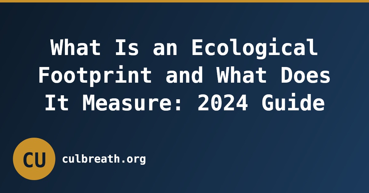 What Is an Ecological Footprint and What Does It Measure: 2024 Guide