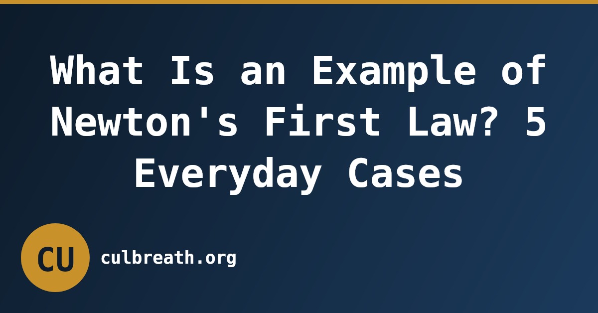 What Is an Example of Newton's First Law? 5 Everyday Cases