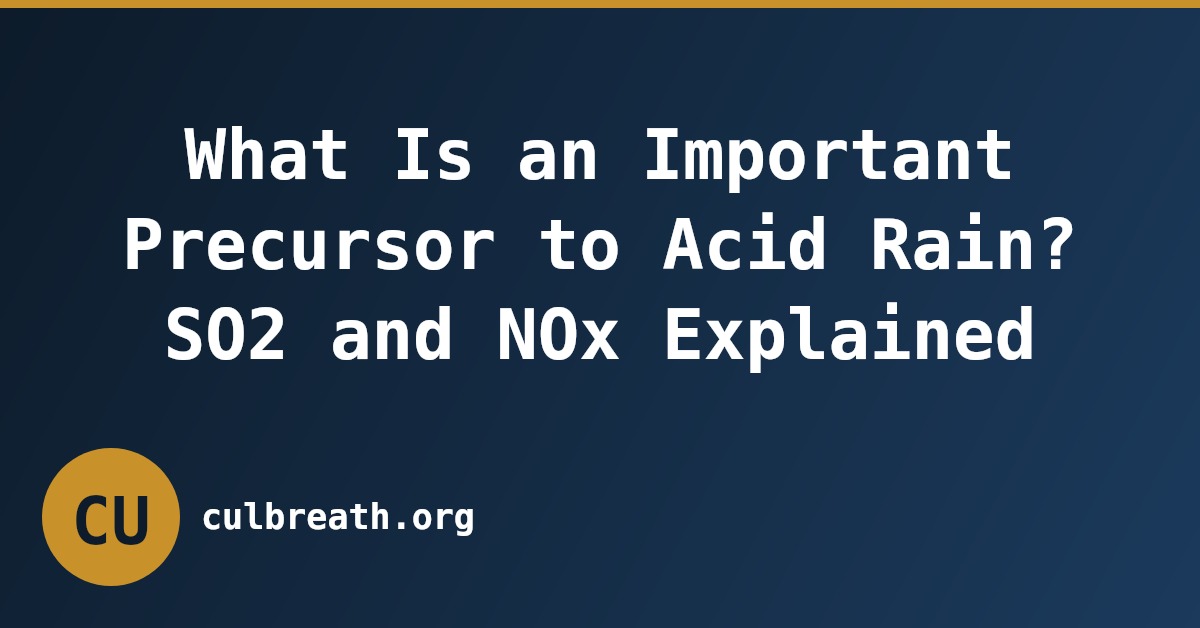 What Is an Important Precursor to Acid Rain? SO2 and NOx Explained