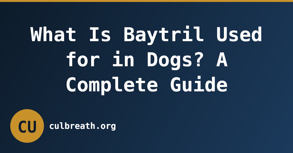 What Is Baytril Used for in Dogs? A Complete Guide