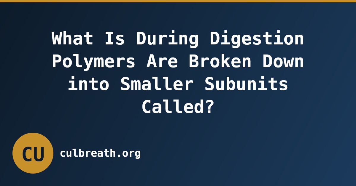 What Is During Digestion Polymers Are Broken Down into Smaller Subunits Called?