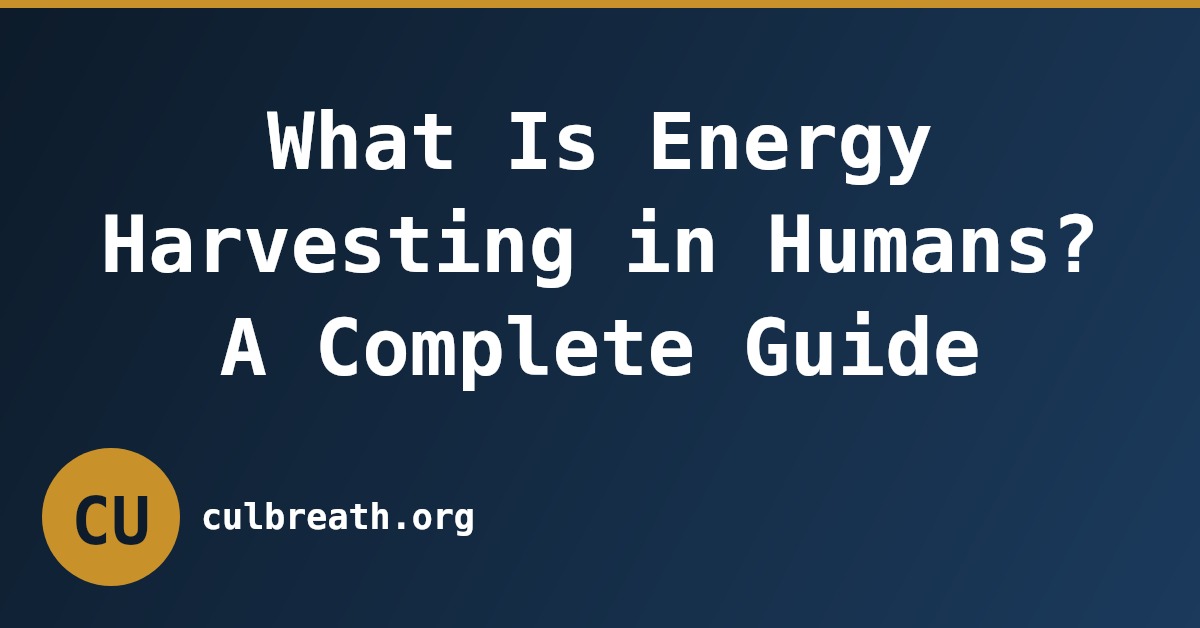 What Is Energy Harvesting in Humans? A Complete Guide