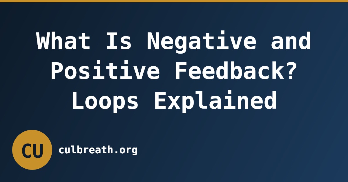 What Is Negative and Positive Feedback? Loops Explained