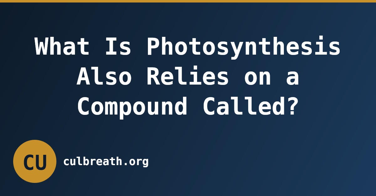 What Is Photosynthesis Also Relies on a Compound Called?