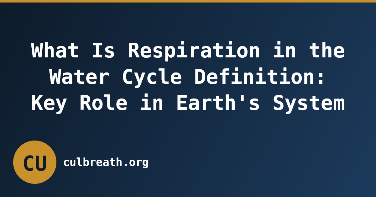 What Is Respiration in the Water Cycle Definition: Key Role in Earth's System