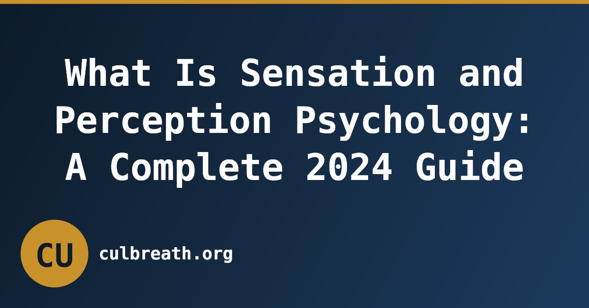What Is Sensation and Perception Psychology: A Complete 2024 Guide