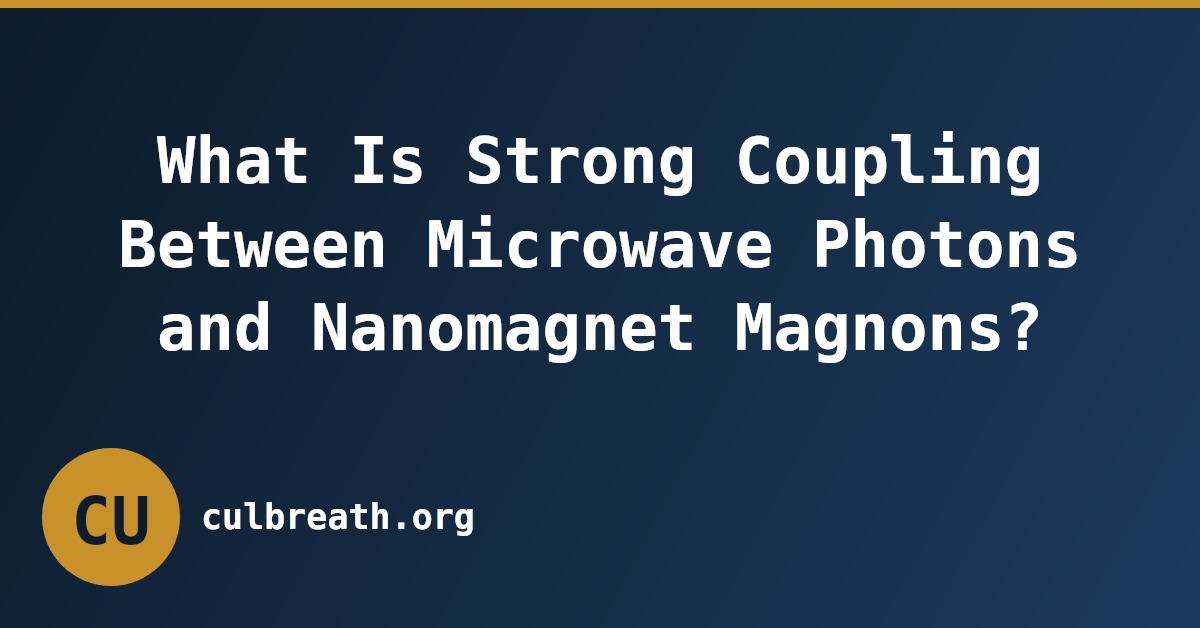 What Is Strong Coupling Between Microwave Photons and Nanomagnet Magnons?