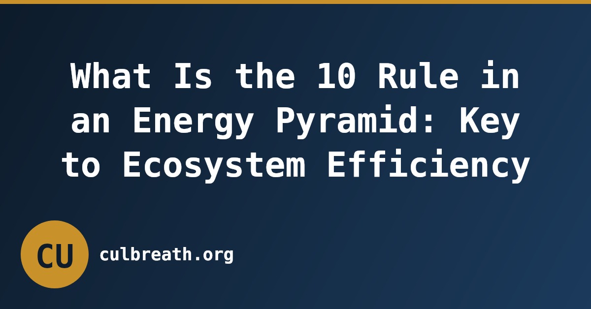 What Is the 10 Rule in an Energy Pyramid: Key to Ecosystem Efficiency
