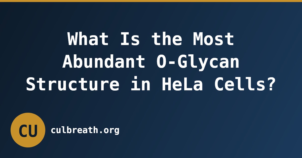 What Is the Most Abundant O-Glycan Structure in HeLa Cells?