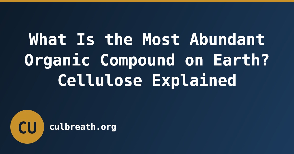 What Is the Most Abundant Organic Compound on Earth? Cellulose Explained