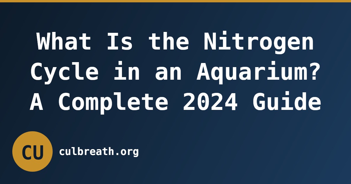 What Is the Nitrogen Cycle in an Aquarium? A Complete 2024 Guide