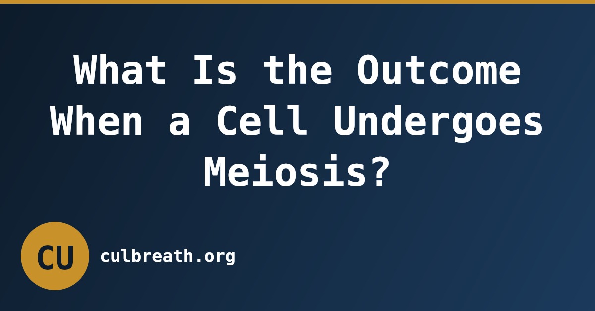 What Is the Outcome When a Cell Undergoes Meiosis?