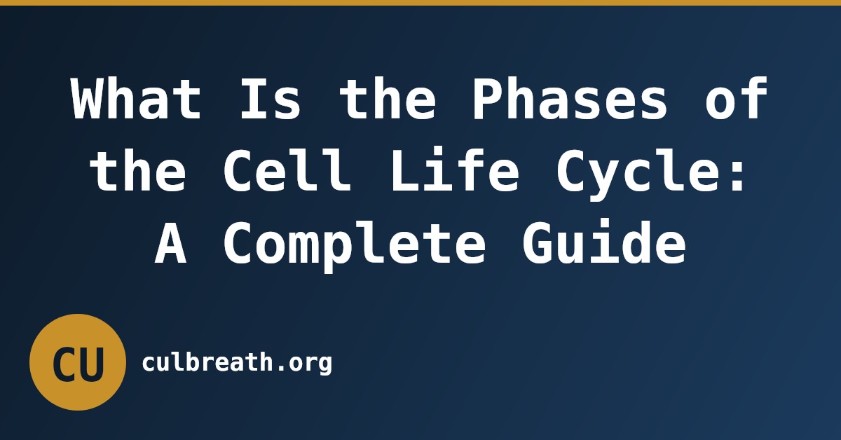 What Is the Phases of the Cell Life Cycle: A Complete Guide