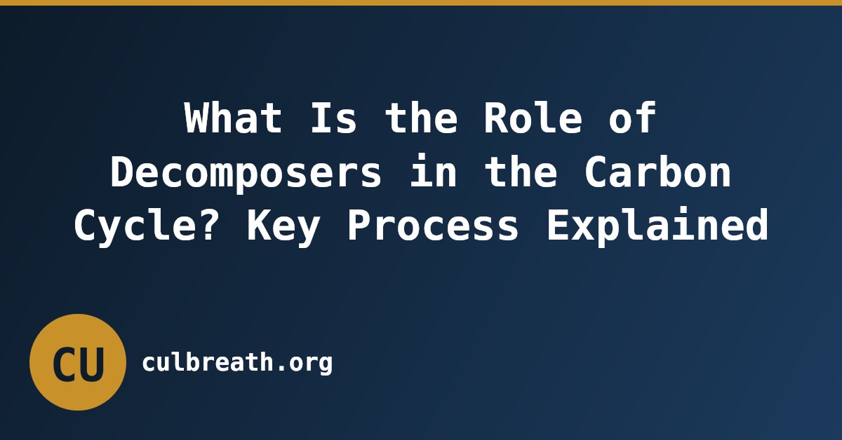 What Is the Role of Decomposers in the Carbon Cycle? Key Process Explained