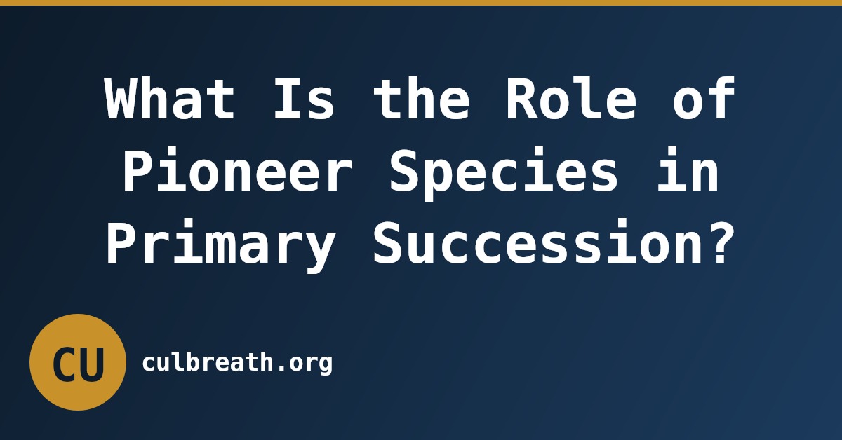 What Is the Role of Pioneer Species in Primary Succession?