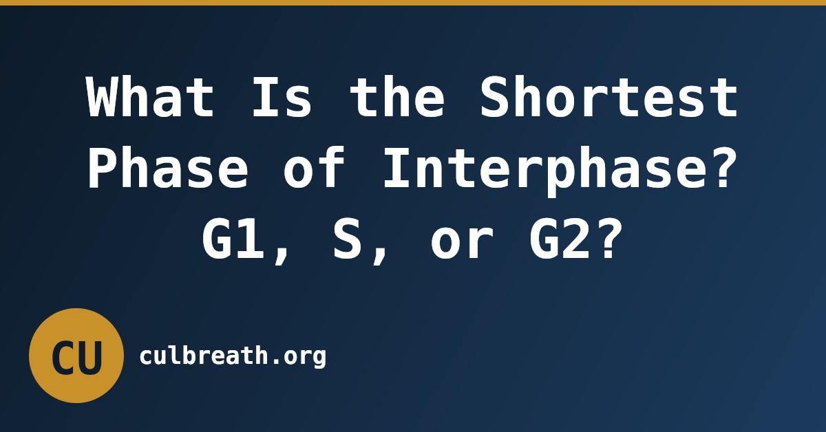 What Is the Shortest Phase of Interphase? G1, S, or G2?
