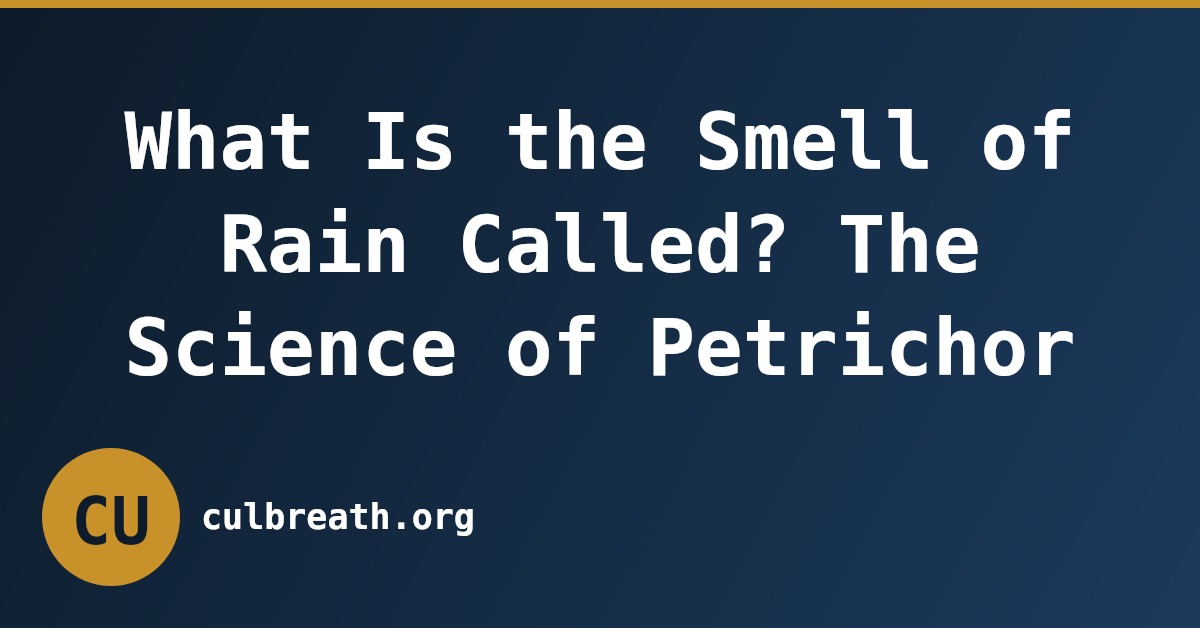 What Is the Smell of Rain Called? The Science of Petrichor