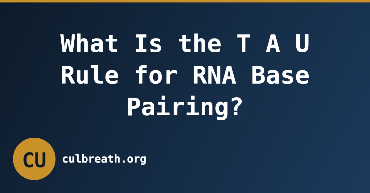 What Is the T A U Rule for RNA Base Pairing?