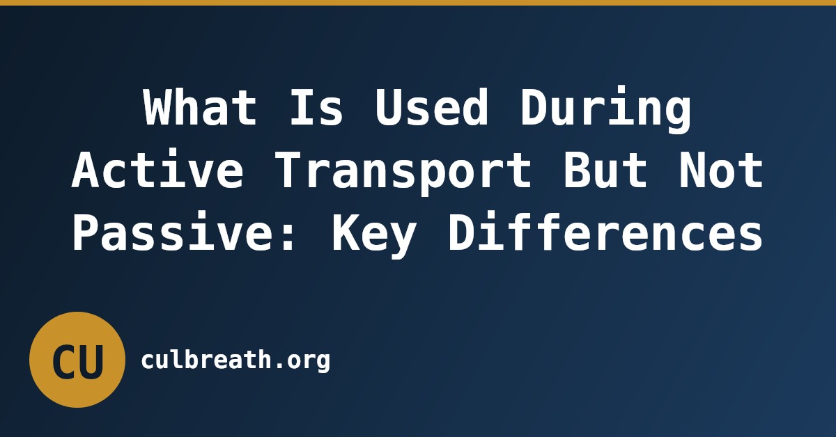 What Is Used During Active Transport But Not Passive: Key Differences
