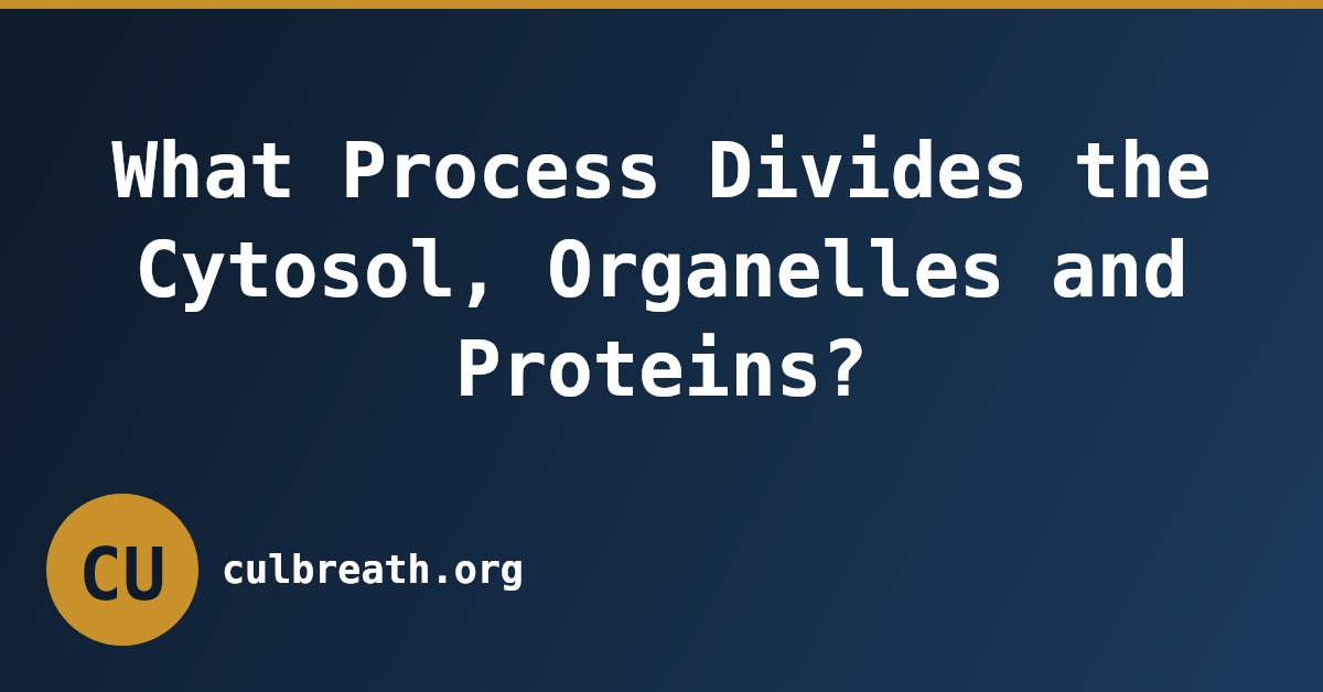 What Process Divides the Cytosol, Organelles and Proteins?