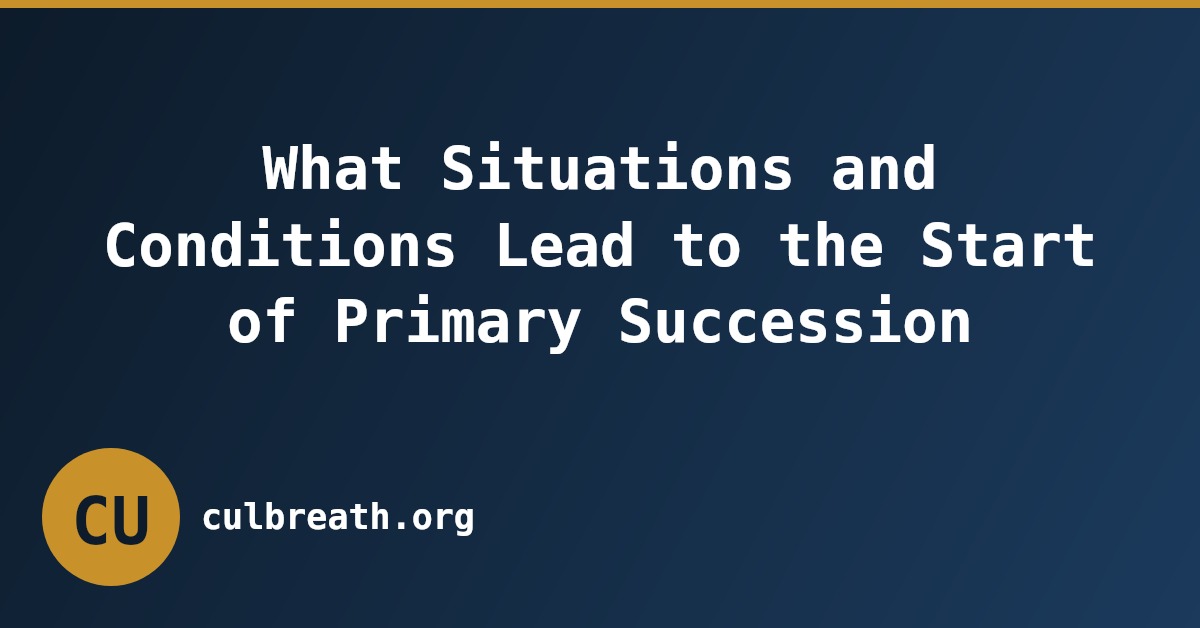 What Situations and Conditions Lead to the Start of Primary Succession