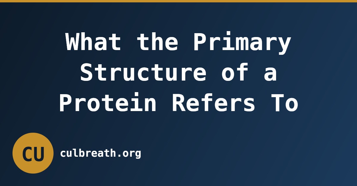 What the Primary Structure of a Protein Refers To