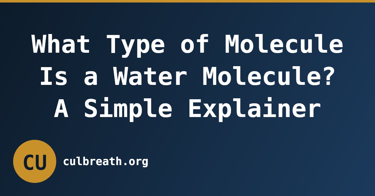 What Type of Molecule Is a Water Molecule? A Simple Explainer