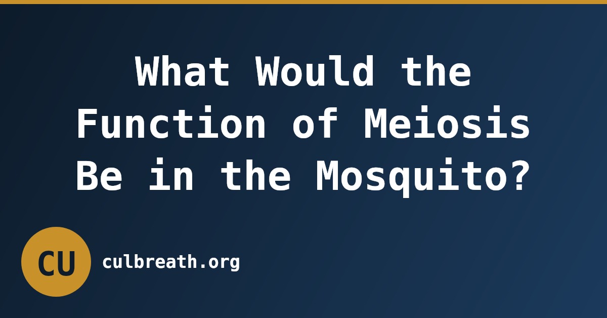 What Would the Function of Meiosis Be in the Mosquito?