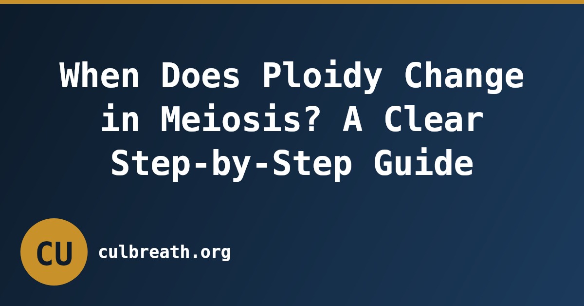 When Does Ploidy Change in Meiosis? A Clear Step-by-Step Guide