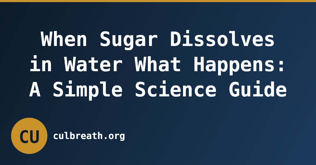 When Sugar Dissolves in Water What Happens: A Simple Science Guide