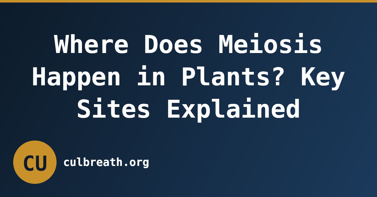 Where Does Meiosis Happen in Plants? Key Sites Explained