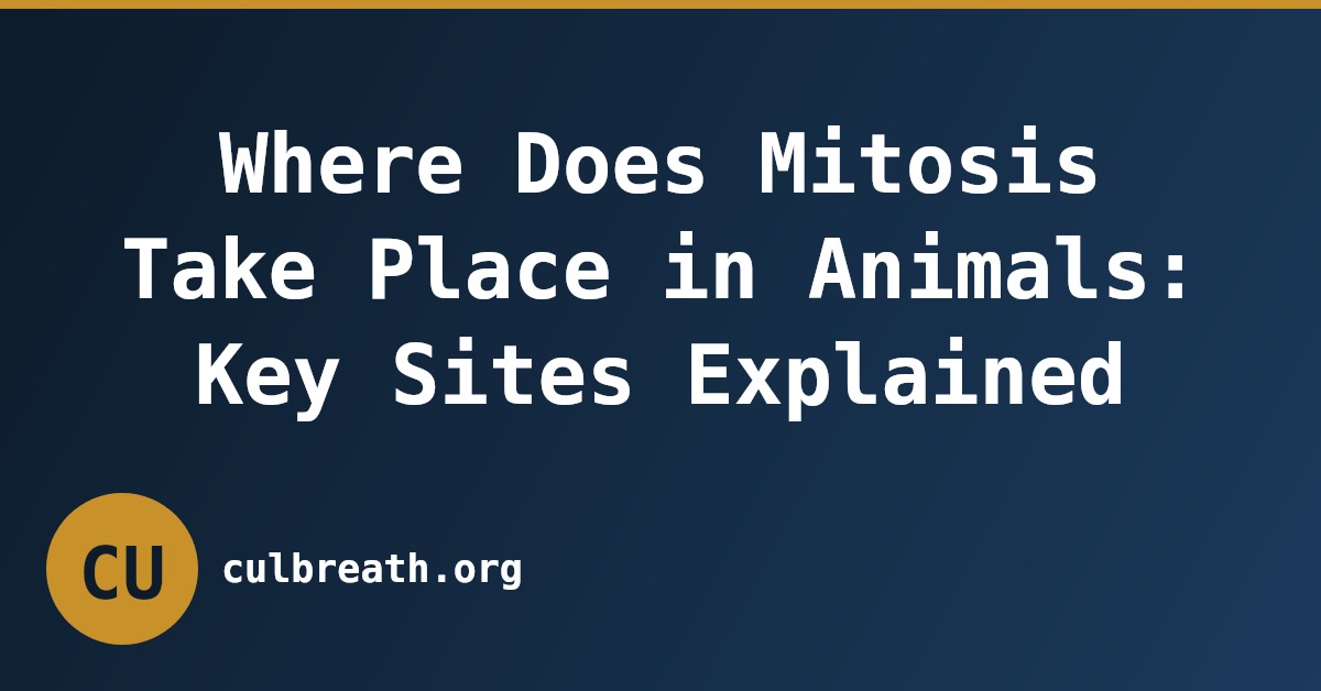 Where Does Mitosis Take Place in Animals: Key Sites Explained