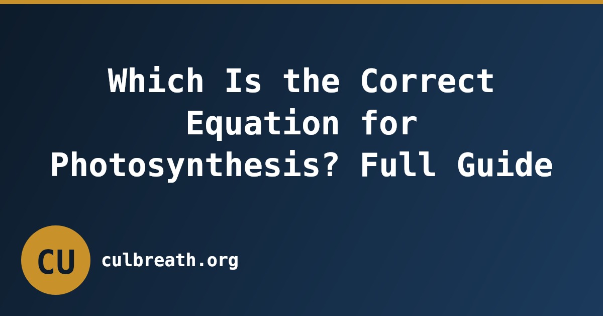 Which Is the Correct Equation for Photosynthesis? Full Guide
