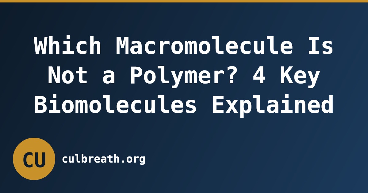 Which Macromolecule Is Not a Polymer? 4 Key Biomolecules Explained