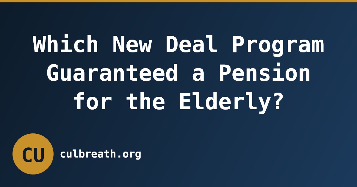 Which New Deal Program Guaranteed a Pension for the Elderly?