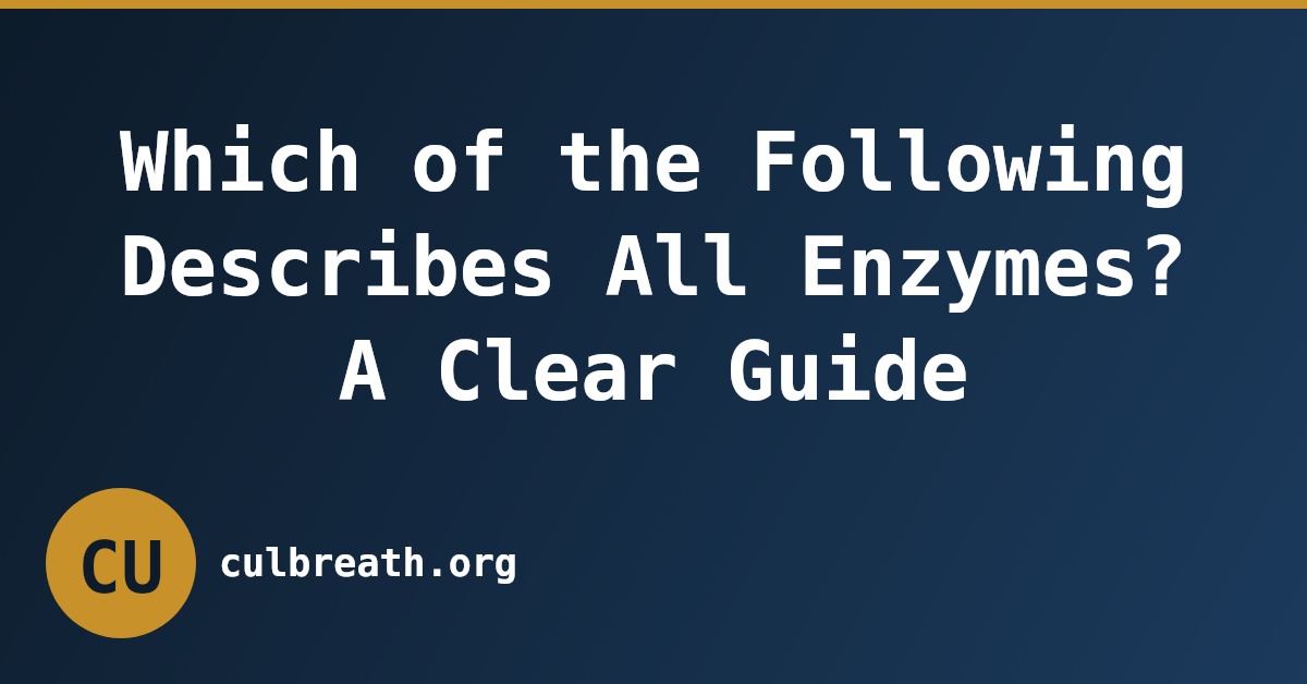 Which of the Following Describes All Enzymes? A Clear Guide