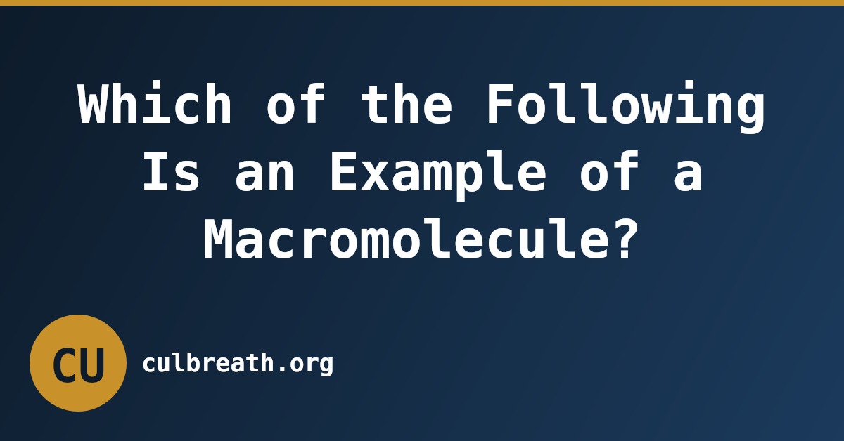 Which of the Following Is an Example of a Macromolecule?