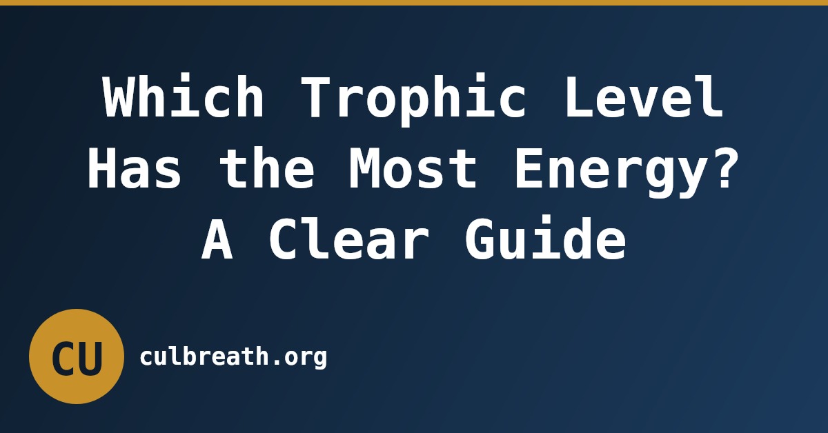 Which Trophic Level Has the Most Energy? A Clear Guide