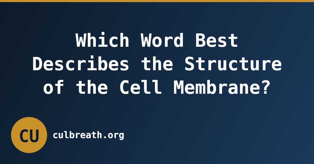 Which Word Best Describes the Structure of the Cell Membrane?