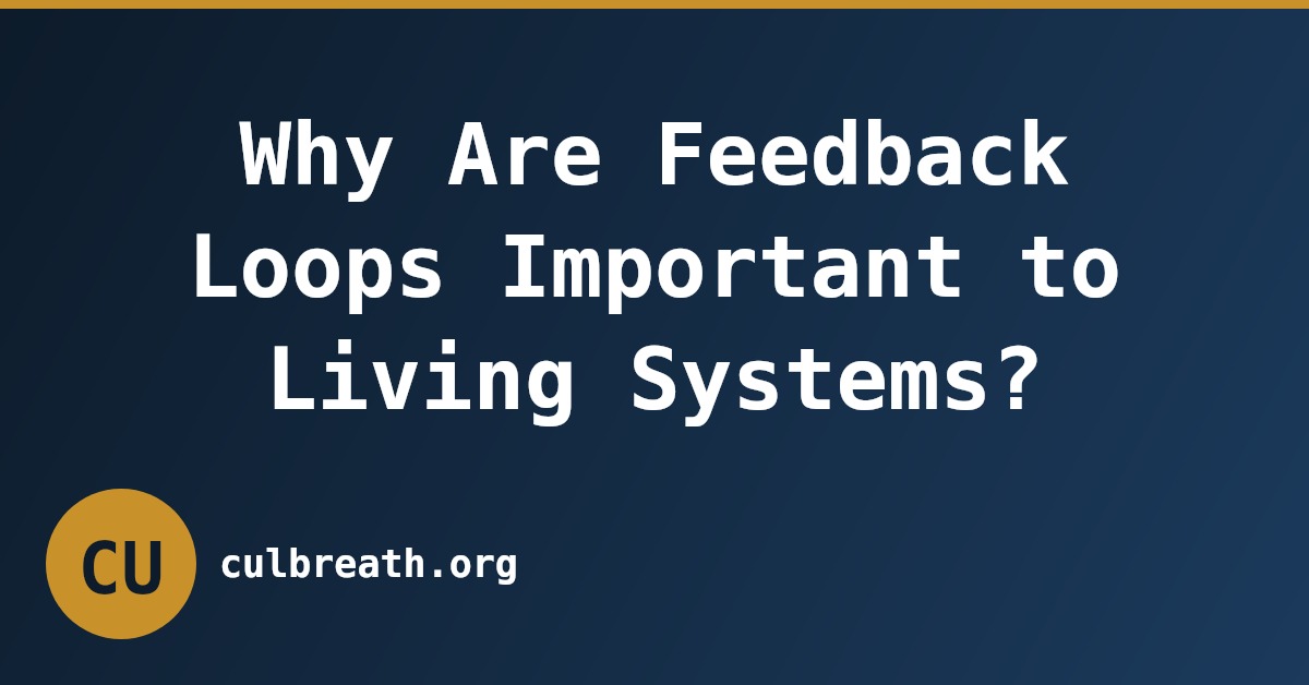 Why Are Feedback Loops Important to Living Systems?