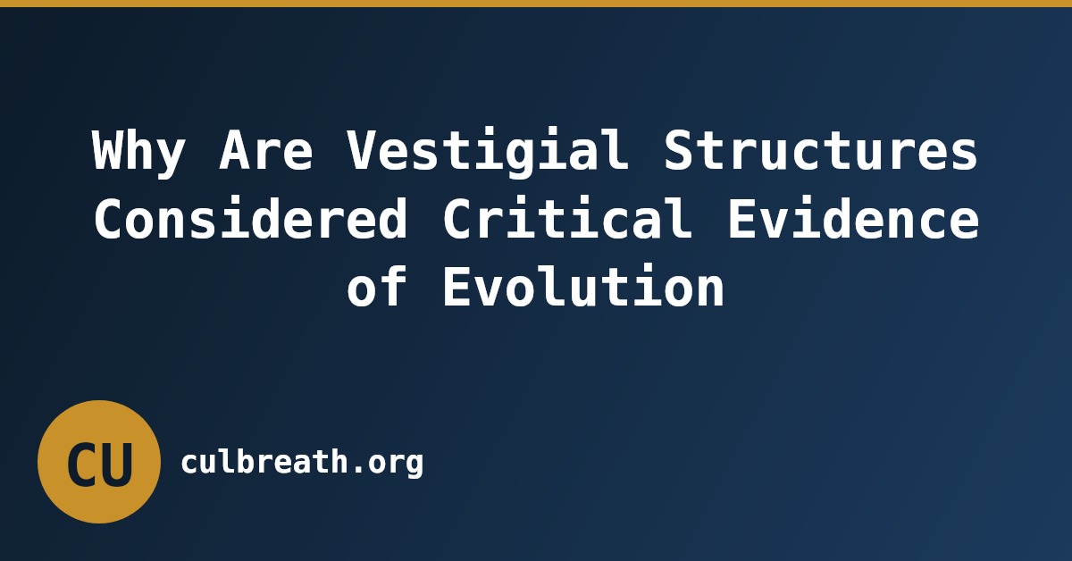 Why Are Vestigial Structures Considered Critical Evidence of Evolution