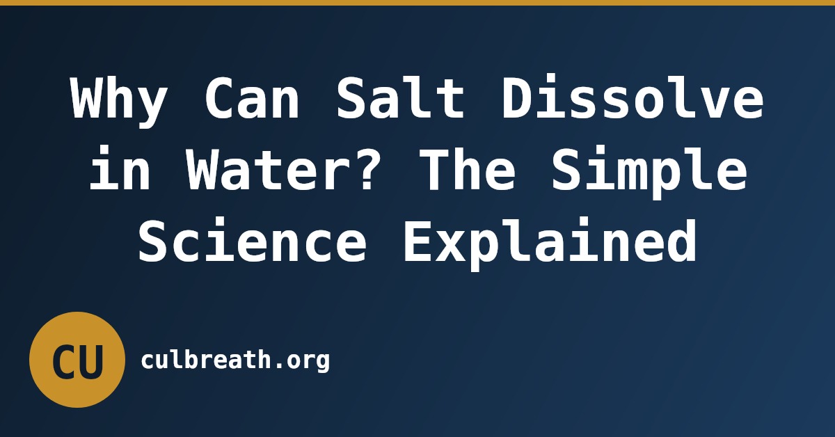 Why Can Salt Dissolve in Water? The Simple Science Explained