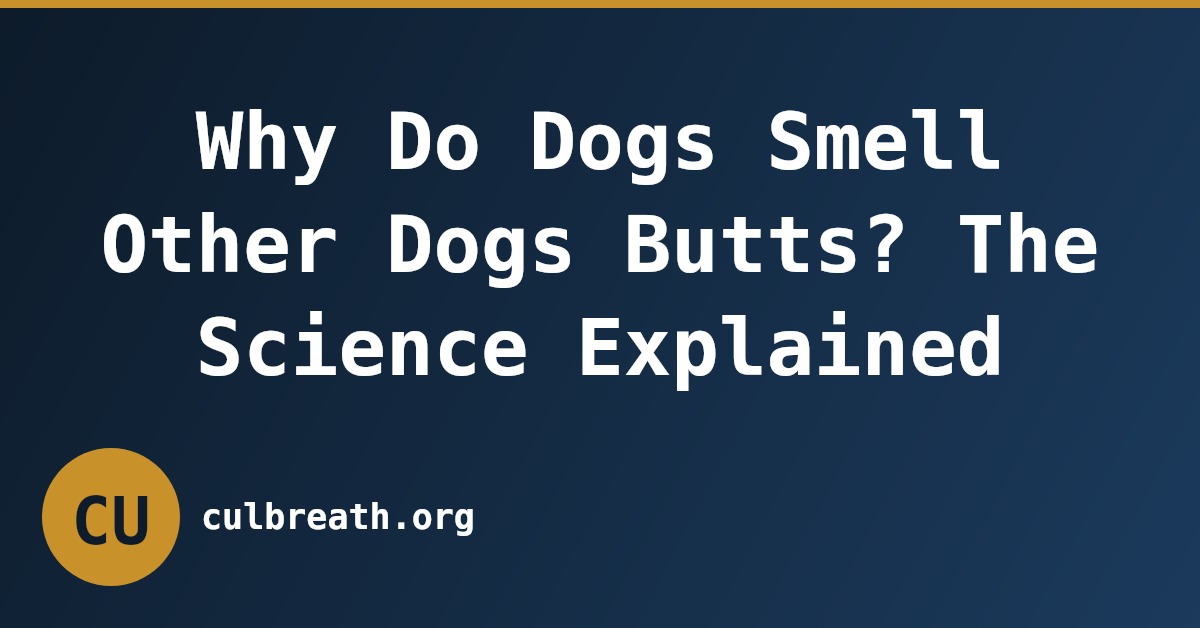 Why Do Dogs Smell Other Dogs Butts? The Science Explained